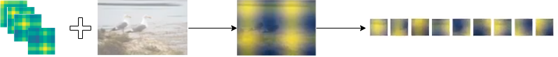Image Embeddings